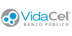 Vidacel Logo